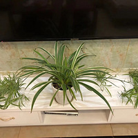 ������װ�α���Ҵ��������������Ļ�����+��ů�������������