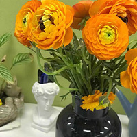 ������װ�α���Ҵ��������������Ļ�����+������ĵ����ˮ�ɻ�