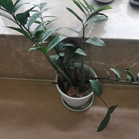 ������װ�α���Ҵ��������������Ļ�����+���ⰻȻ���ⷿ