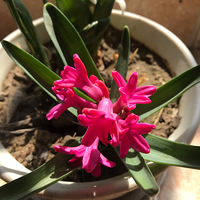 ������װ�α���Ҵ��������������Ļ�������ϵ����