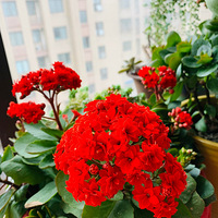 ������װ�α���Ҵ��������������Ļ�����+�����ҵ�СС��̨