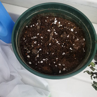 ������װ�α���Ҵ��������������Ļ�����+������е�ֲ��