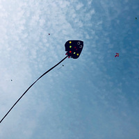 ���빫԰����С�����ڷŷ���