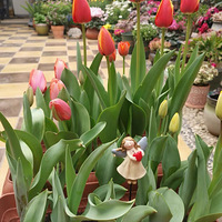 ������װ�α���Ҵ��������������Ļ�����+�ô����Ļ���