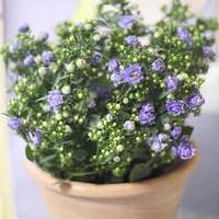 ������װ�α���Ҵ��������������Ļ�����+������ǧ����֮һʱ