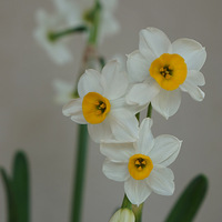 ������װ�α���Ҵ����������ռ���Ļ����ݲݡ�+������̨