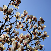 �������������������ˣ���������Ķ������