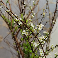 ������װ�α���Ҵ��������������Ļ�����+����ʢ���������