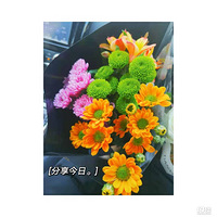 ������װ�α���Ҵ��������������Ļ�����+�ѵ��򻨵���