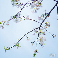 ������һ������