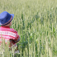 ��315ĸӤ��ڰ�ñ���۾�����䲻ͬ���