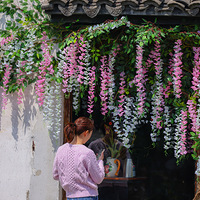 �º������࣬�Ϻ�������