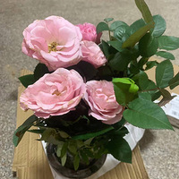 ������װ�α���Ҵ��������������Ļ�����+����������