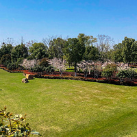 ��ɽ��·һ·����