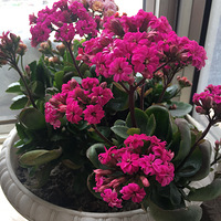 ������װ�α���Ҵ������������Ļ���+���ٻ���ר�⡱