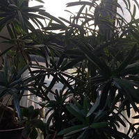 ������װ�α���Ҵ��������������Ļ�����+�⼸���ֵĻ����ݲ�