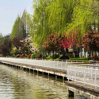 ���������Ĵ�ɫ