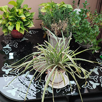 ������װ�α���Ҵ��������������Ļ�����+��ͥһ��