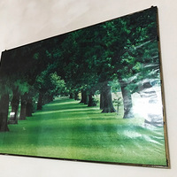 �����ֹ����䱭�����硿��ɹ������һĨ��ɫ��+���е���ɫԪ��