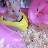 �Լ����Ľ�˿�ܲ���һ����������һ��С��������ϲ���Ŀ���ϵ��