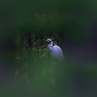 Ұ�׷׷� ��ĺ��˼��