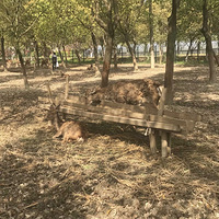 �����μǡ�+�˸�ũ��