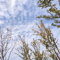 #���μ�#���