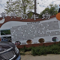 �����μ���������ţ��