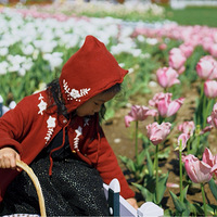 �����μǡ�Ҧ�ҵ���԰