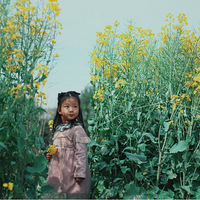 �����μǡ��Ͳ˻�