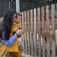 �����μǡ�ϲ��ũ��