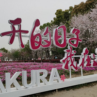 �����μǡ���ܤӣ����԰