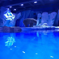 �����μǡ�+������԰