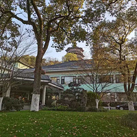 �����μǡ���������