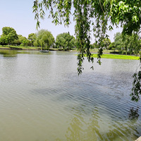 �����μǡ�+ǧ������ܱ߹�԰̤��