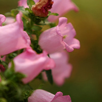 ȥ�����Ϻ���ҵ�����г�