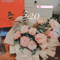 ɹ520ҵС
