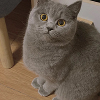 С��è������Ѽ��