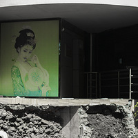 ���˽�ͷӡ��