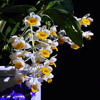 2021�տ���ʯ����