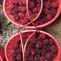 ��������÷��԰��ժ