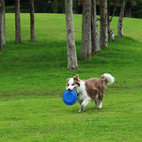 �ӷ��̵ı���