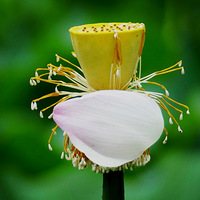 �ɻ����ˣ���ӭ����ѹ����ڡ�