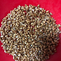 �ֹ���ѿ��