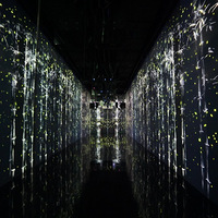 Ӱײ-teamlab޽