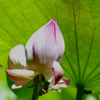 �ɻ���ѿ����ڵ����ˡ�