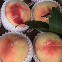 ����ˮ����