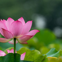 ~~�ɻ� ���� �۷�~~~