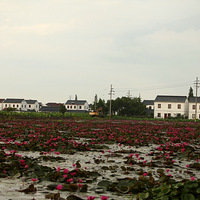 �˼ҵ����£�ԽŪԽ��