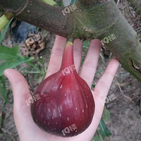 �������޻�����������Ѱ��ˮ����΢�̺���